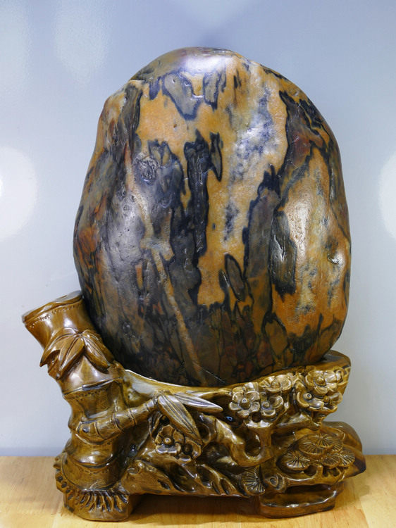 Natural Strange Stone Water Chong Strange Stone Sanjiang Colorful Jade Stone Sightseeing Stone Ornament Show Stone Sparse Forest