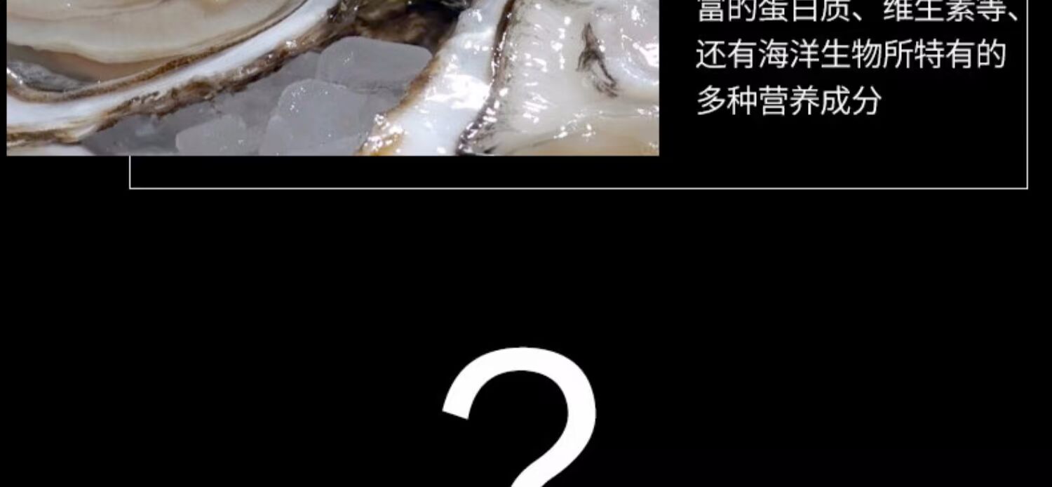 松 古树 美 片 Người lớn uống Maca Oyster Nam Sản phẩm chăm sóc sức khỏe Cặp đôi Đồ dùng 伟 1 - Thực phẩm dinh dưỡng trong nước tảo xoắn spirulina