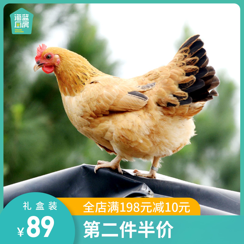 Hainan authentic chicken Wenchang chicken Whole chicken Fresh fresh white cut hen farm free-range chicken Shunfeng