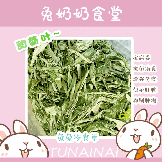 Rabbit Grandma Canteen Health Care Grass Natural Stevia Leaf 50 gr Dragon Cat Rabbit Holland Pig Guinea Pig Little Darling Snack