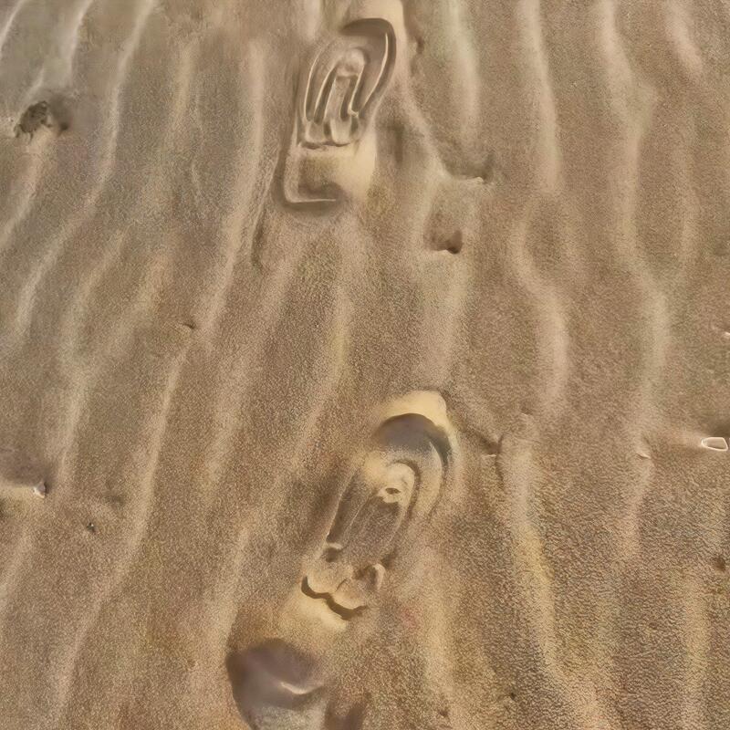 【Step by Step Vitality】Prank Flip-Flops with Vulgar Footprints, Beach Shoes, Non-Slip Slippers for Outdoor Wear, Stress-Relief Sandals