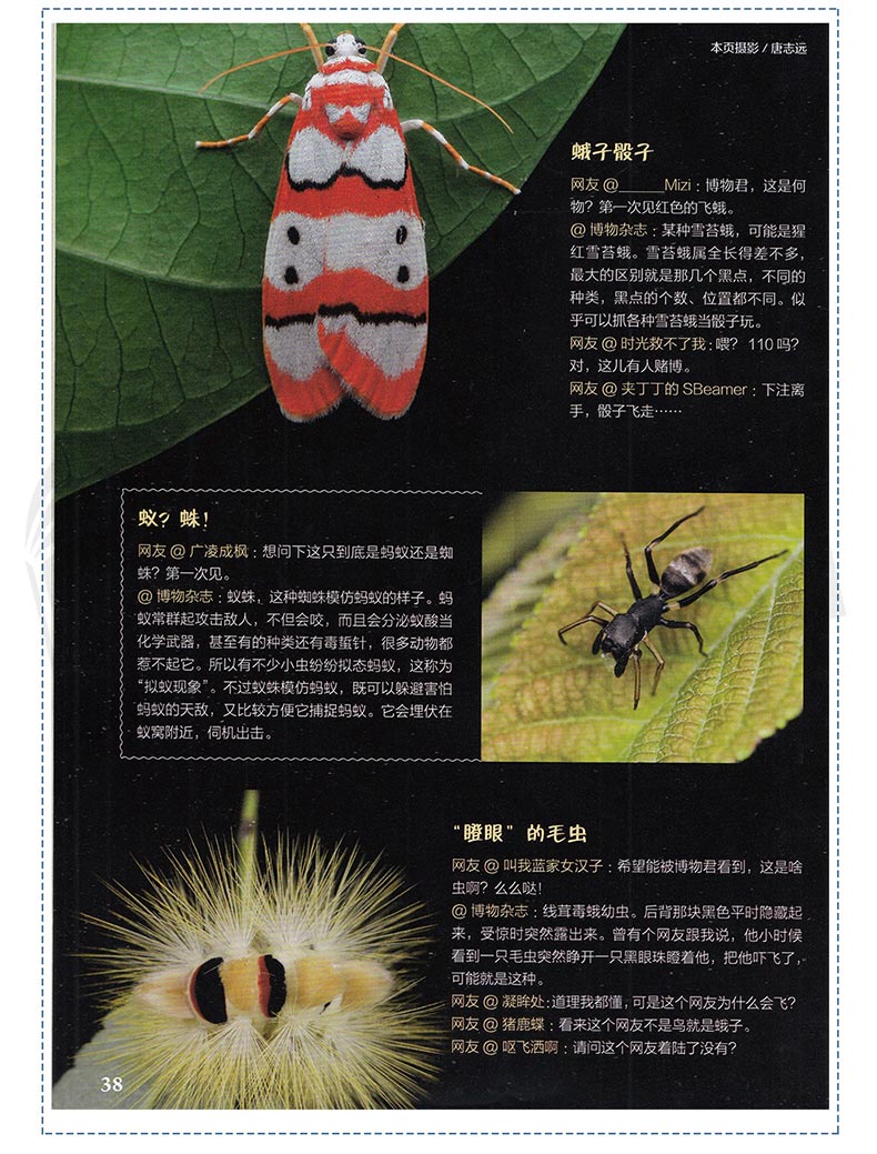 中国国家地理出品 《博物君式科普》 十年博物杂志精选 图6