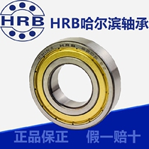HRB 6013 6013 6014 6015 6016 6016 6018 6018 6019-2Z 2RZ Ball Plane