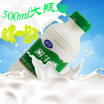 Xia Jin sweet milk whole box 500ML * 12 bottles portable childrens elderly growth nutrition breakfast milk