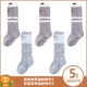 [5 двойной мгновенный] серо -коричневый двойной ухо, Jiao Lion 3 Grey Blue Double Ear, Jiao Lion 2