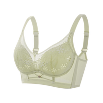 Dongdong cup underwear for women with big breasts and small breasts breathable and thin beautiful back push-up breast-retracting adjustable bra for summer