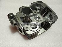 North Yongsheng tricycle engine dual cold king 200 250 300 water-cooled cylinder head assembly