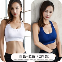 Белый+синий (2 штуки)