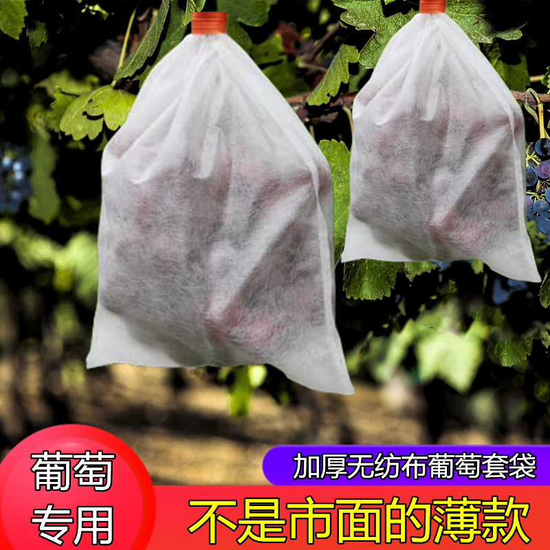 保护果实的秘密铠甲：多功能水果套袋