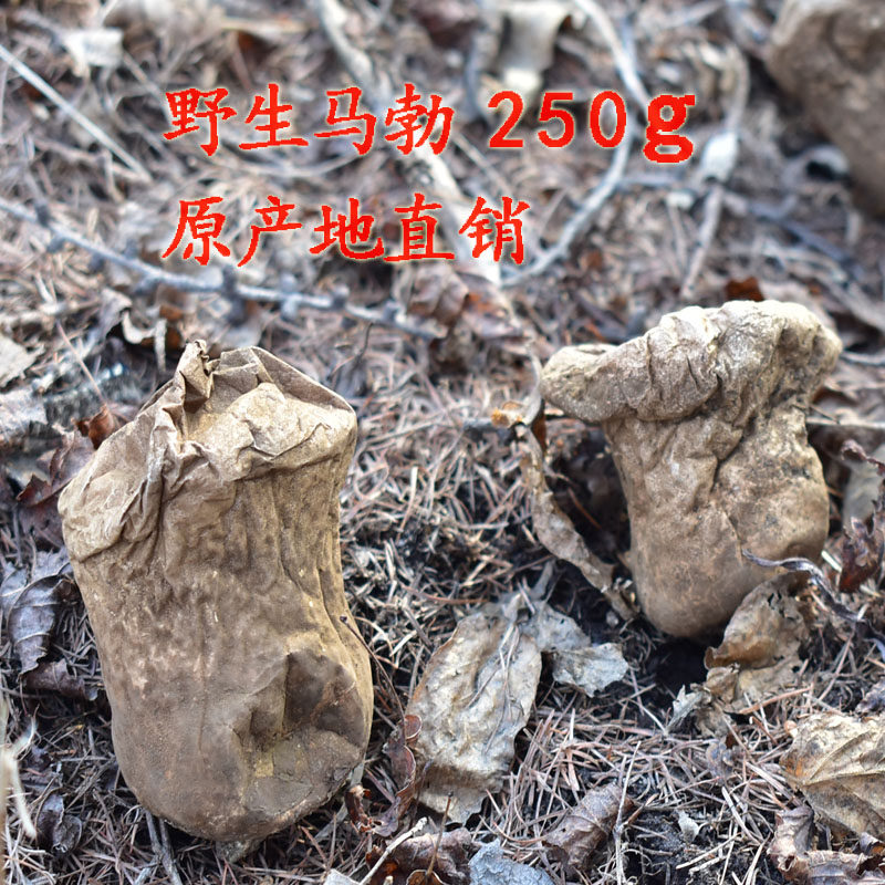 Northeast wild puffball mushroom bag traditional Chinese medicine horse manure bag flattery bag flattery bubble cow dung mushroom ash bag dried 250g
