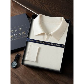 Worsted autumn and winter men's seagull collar solid color knitted bottoming shirt long-sleeved sweater