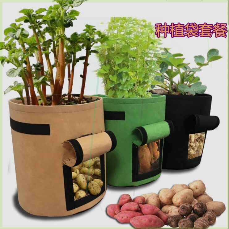 Thickening tool balcony sweet potato seedling planting bag rectangular potato breathable black trend simple sweet potato novel