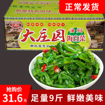  Zhuang Biao stewed sea cabbage in oil 10 kg of spicy pickles ready-to-eat rice sea wakame bulk pickles commercial use