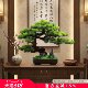 New Chinese style simulation welcoming pine hotel living room entrance