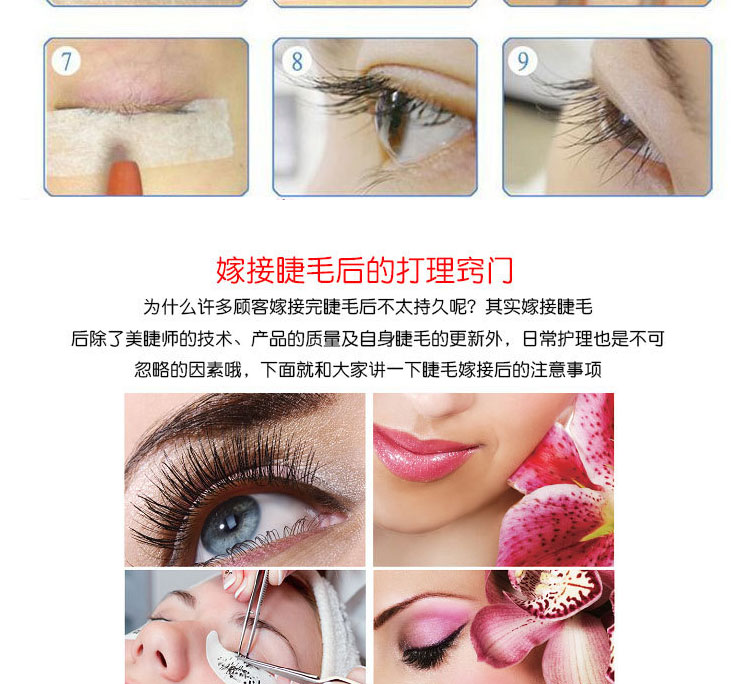 Tự động một giây lông mi hoa từ tính hoa trà ghép lông mi lông mi bờm nước trồng lông mi giả không mất gốc - Lông mi giả mi giả tự nhiên