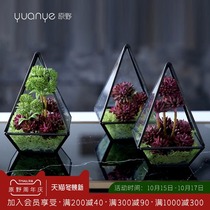 Wilderness creative modeling simulation flower fake flower glass vase silk flower decoration living room TV cabinet ornaments set