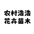 农村浩浩花卉苗木