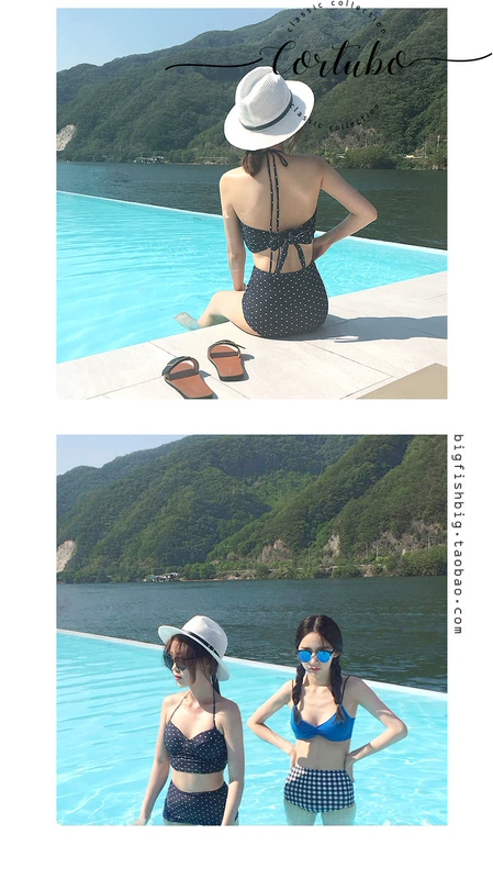 CORTUBO Phiên bản Hàn Quốc của làn sóng mới màu xanh chấm bi ngực nhỏ tập hợp áo tắm mỏng eo cao bikini - Bikinis