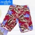 CORTUBO ngực nhỏ tập hợp những người yêu thích kỳ nghỉ lễ ăn mặc thời trang bên bờ biển Slim vài bộ đồ bơi nữ ba mảnh - Vài đồ bơi Vài đồ bơi