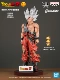 SMSP Goku Color изменяется 02, чтобы отправить базовую табличку с фиксацией