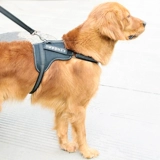 ДОБАВИТЬ ГРЕСС