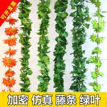 One green leaf simulation rattan with 80 green leaves has a total length of 2 meters