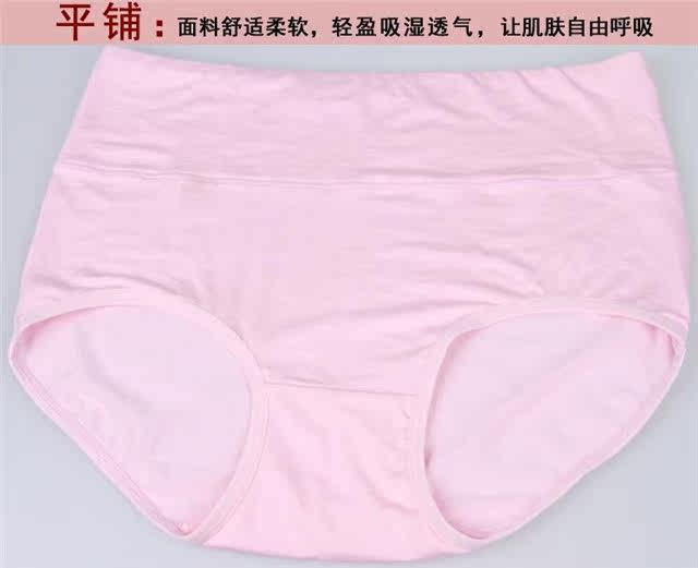 Slip Moyen-âge ES1076 en coton - Ref 669014 Image 13