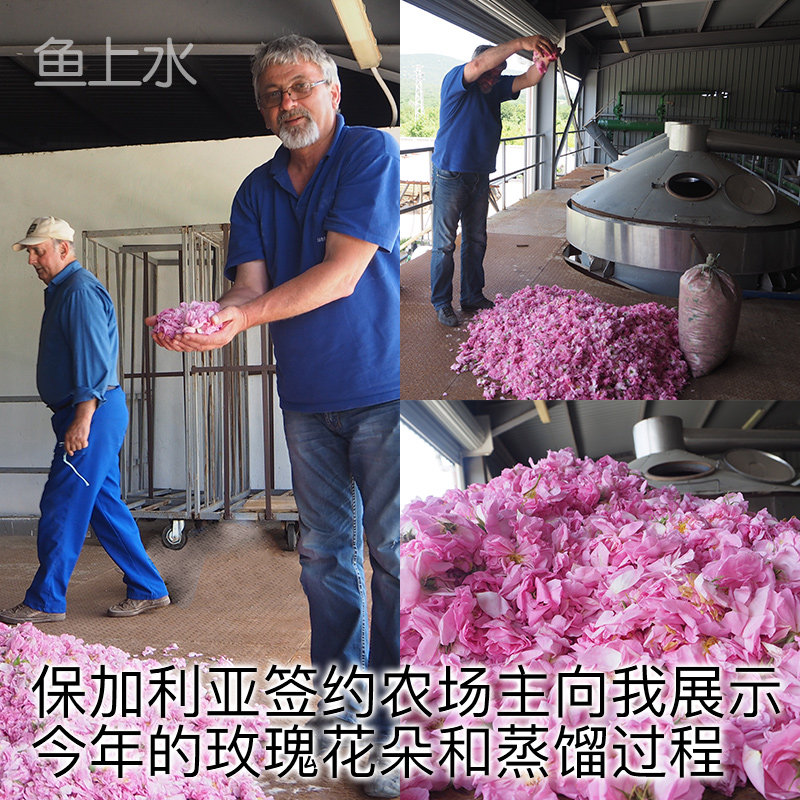 Fish on the water Bulgaria Damascus Otto rose hydrosol natural essential oil saturated flower water moisturizing