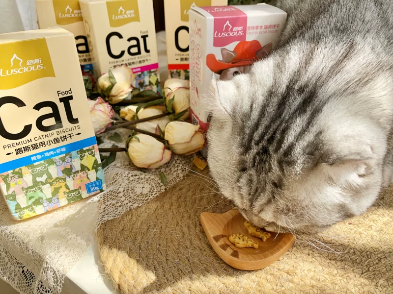 Luce Cat Bánh quy cá khô Catnip Molars Răng Làm sạch lông Loại bỏ đồ ăn nhẹ bổ sung chất béo dinh dưỡng Tăng 80g - Đồ ăn nhẹ cho mèo
