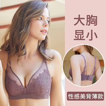 Thin collection fat mm bra sexy soft steel ring underwear set women anti-sagging no sponge bra chest