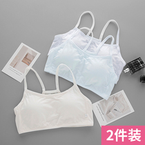 Young Girl Underwear Junior High School High School Students 9-12-16 Year Old Small Vest Pure Cotton Student Hair Birth Great Boy Bra