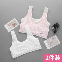 Student Lingerie Little Vest Hair Stunting Junior High School Junior High School Young Girl Girl Girl Girl Bra