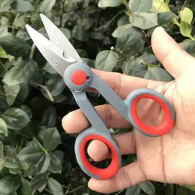 Sea fishing fishing scissors Stainless steel PE line special Dali horse line multi-function lead skin small scissors Fishing line scissors