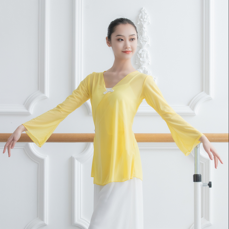 New classical dance skill dress female sweater mesh ballet modern dance performance convinced adult fluttering suit