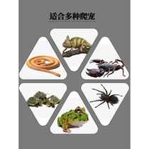 Turtle tank sunbathing platform climbing platform and ladder to bask in the simulated stone platform slope rest fish tank landscaping to avoid high water levels in the cave