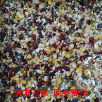 Beijing Tianyou ten thousand Pigeon Food Career Saifei Original Clothing Washed Grain 50 Jin-Jin Jiangsu and Zhejiang