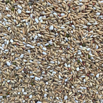 Beijing Tianyou ten thousand Pigeon Grain (Clear Level) 50 Taggers of Jiang Zhejiang and Zhejiang