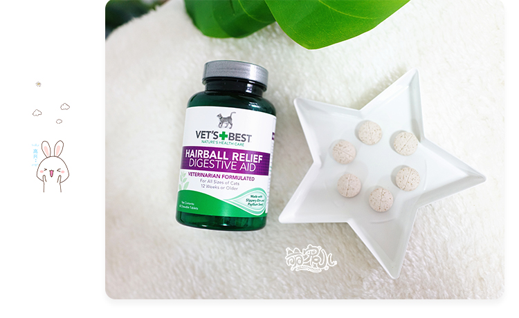 Thú cưng dễ thương tự nhiên màu xanh lá cây vet "> <kiểu đầu vào = - Cat / Dog Health bổ sung sữa cho chó con mới đẻ