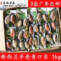 New Zealand Green mouth shell 1kg New Zealand Half Shell Green mouth frozen seafood imported 3 boxes Guangdong