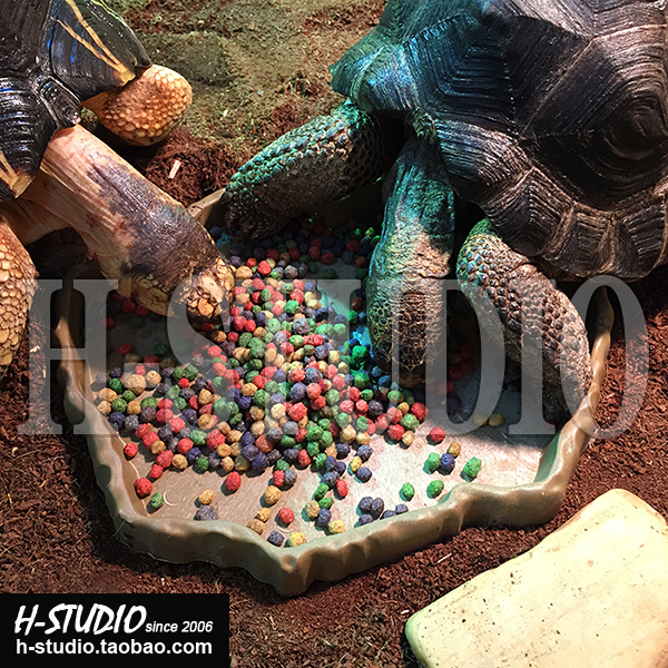 ABS low side land tortoise eating pan tortoise lizard and other reptiles Y-15