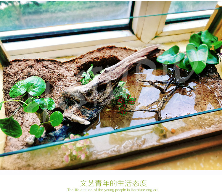 Аксессуары для рептилии 乌龟水龟缸别墅橡木实木水陆缸 黄缘陆龟半水龟景观套装套餐 Mzoocage
