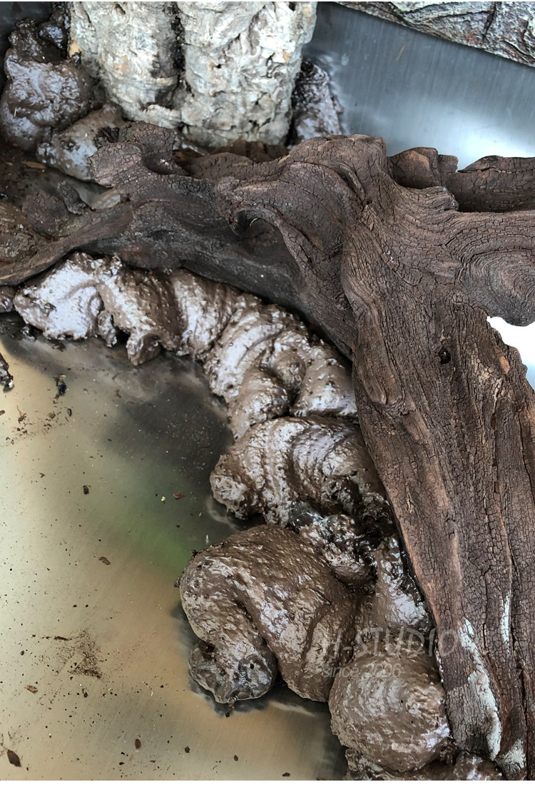 Аксессуары для рептилии 专业造景发泡胶鱼缸龟缸雨林缸水陆缸沉木假山流水青龙石色零甲醛 Coloer