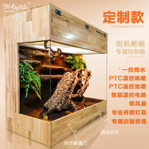 (Customized 6) Ambon spotted sail lizard landscaping oak intelligent one-pull drainage rainforest landscape reptile breeding box