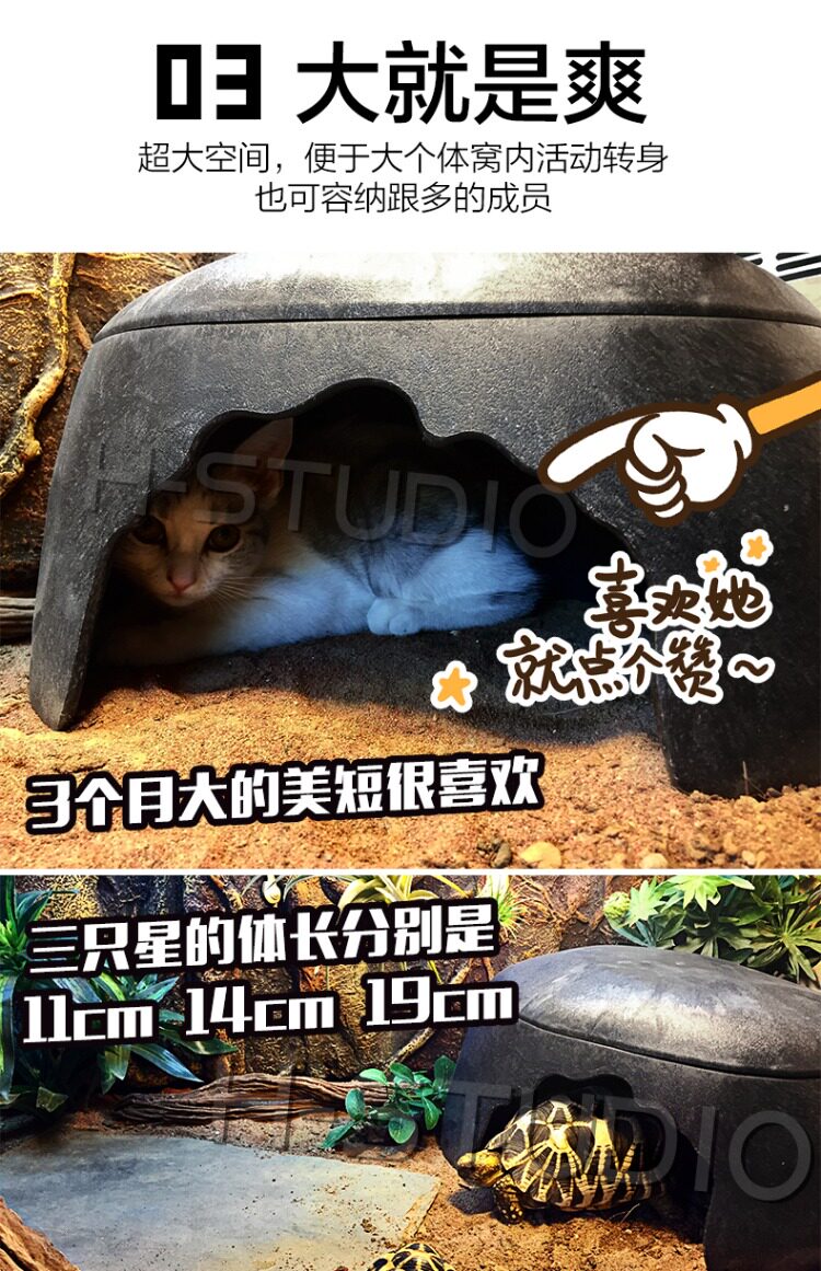 Аксессуары для рептилии 包邮 爬宠陆龟加湿大号/小号爬箱躲避洞 爬虫保湿预防隆背 送瓷盆 H/STUDIO
