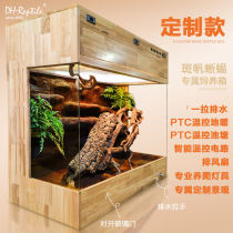 (Customized 6) Ambon spotted sail lizard landscaping oak intelligent one-pull drainage rainforest landscape reptile breeding box