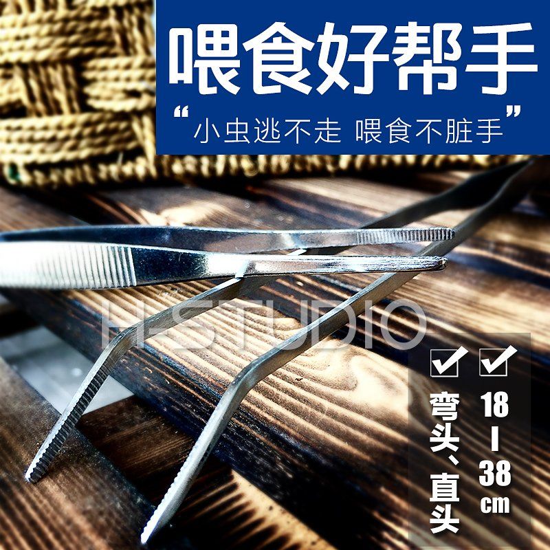 Reptile Live food Feeding tweezers Clip crickets Crickets Barley insects Cockroaches Round head elbow Stainless steel tweezers