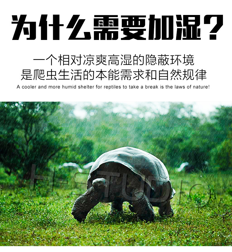 Аксессуары для рептилии 包邮 爬宠陆龟加湿大号/小号爬箱躲避洞 爬虫保湿预防隆背 送瓷盆 H/STUDIO