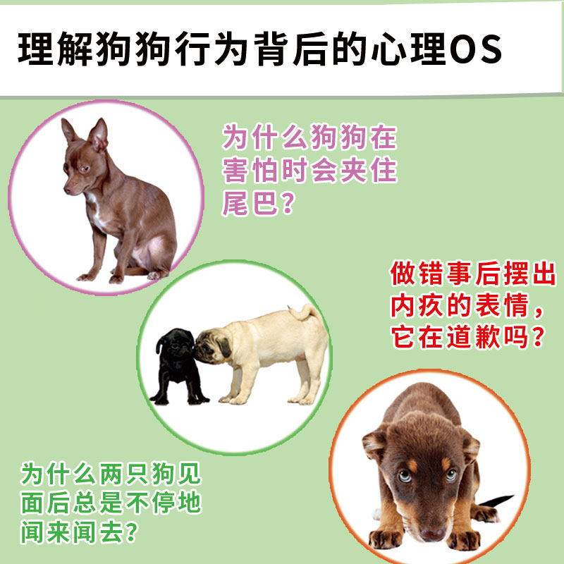 🐾 解读宠物秘密手册 | 图解狗狗行为🐾-宠物-淘宝好物网
