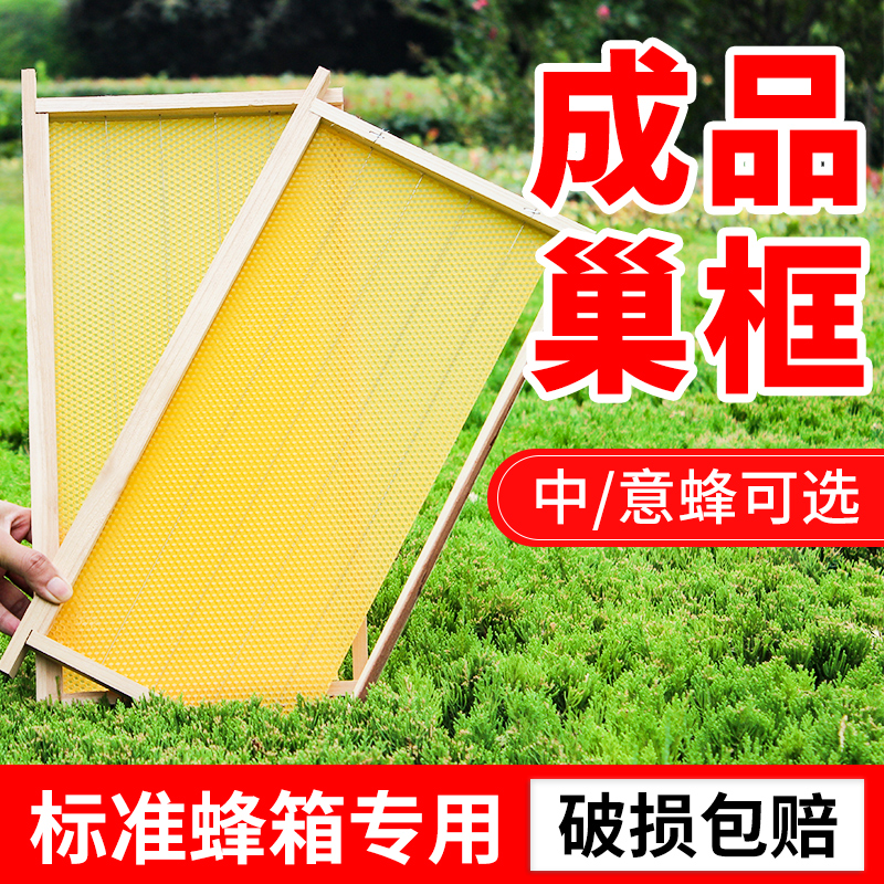 Chinese bee finished hive frame with nest foundation Italian bee hive spleen skin standard ten-frame bee box special bee frame beekeeping tool