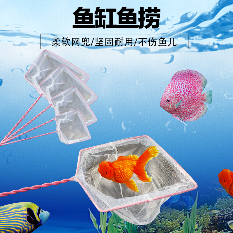 Fish tank Home Large Number of ornamental goldfish nets Aquarium Fishing Nets Pocket Square Handpicked Nets Outdoor Small Fish Web Manuscripts